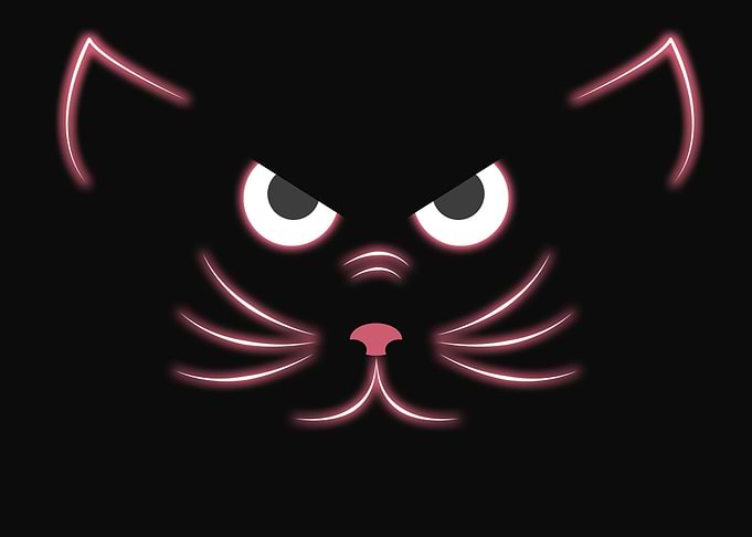 Glowing Cat
