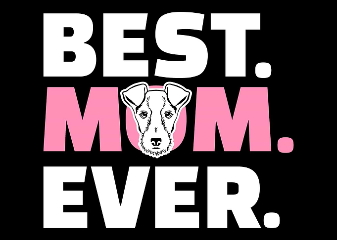 Fox Terrier