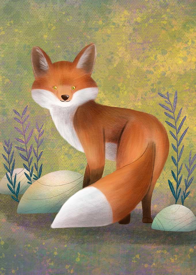 Fox