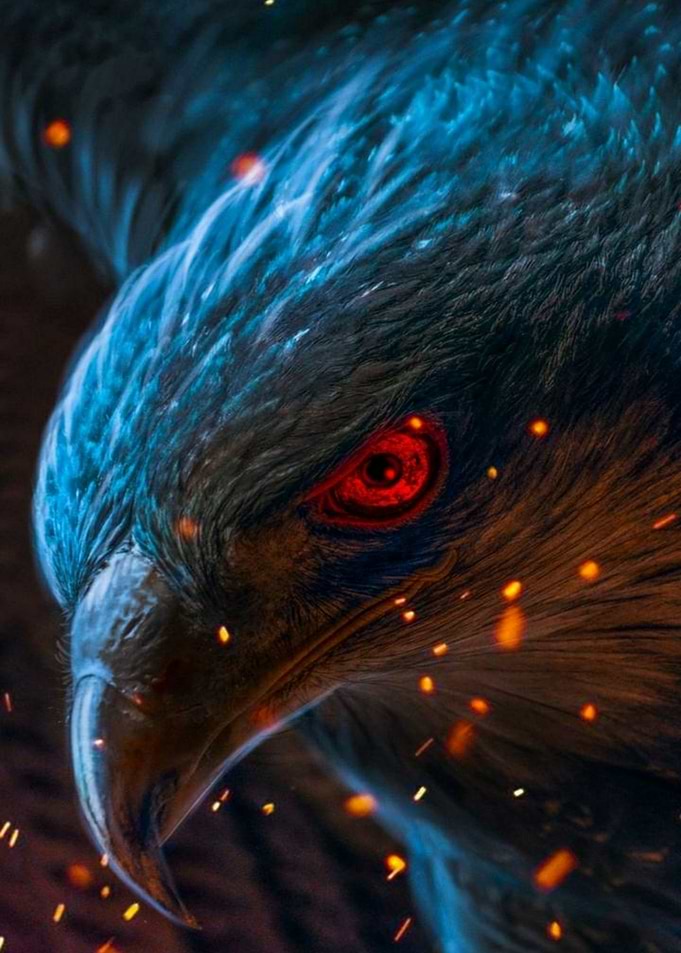 the falcon