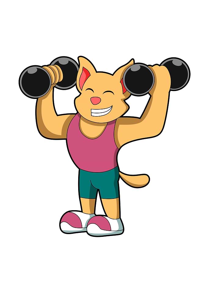 Cat Bodybuilding Sports