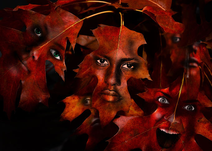 Fall Faces