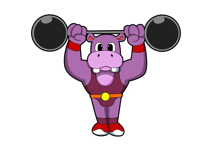 Hippo Sports Bodybuilding