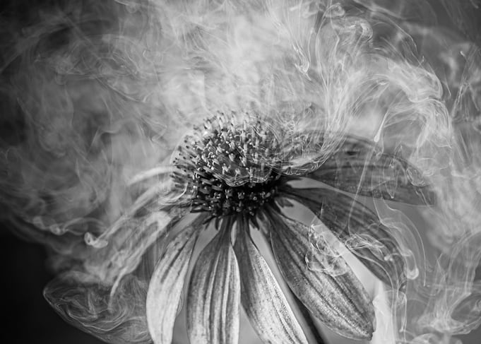 Smoking Flower