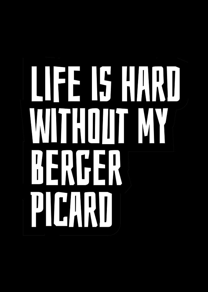 Berger Picard