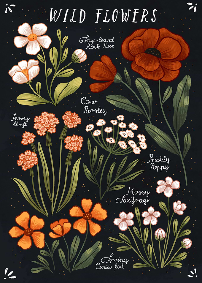 Wild Flowers vol 1