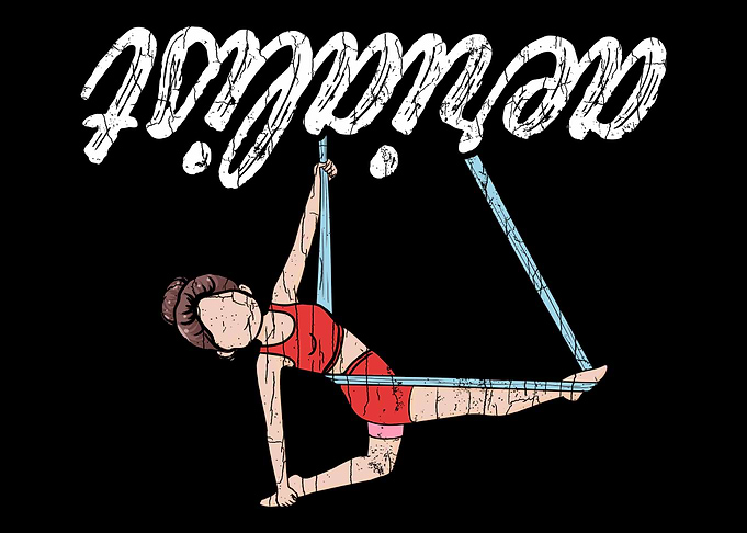 Aerialist Apparel Upside D