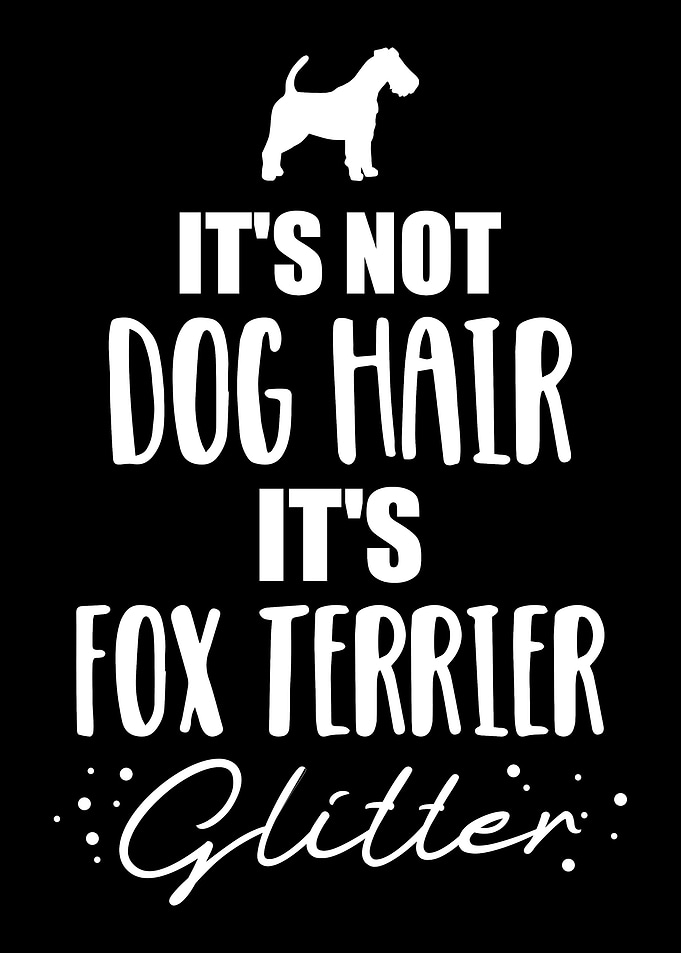 Fox Terrier