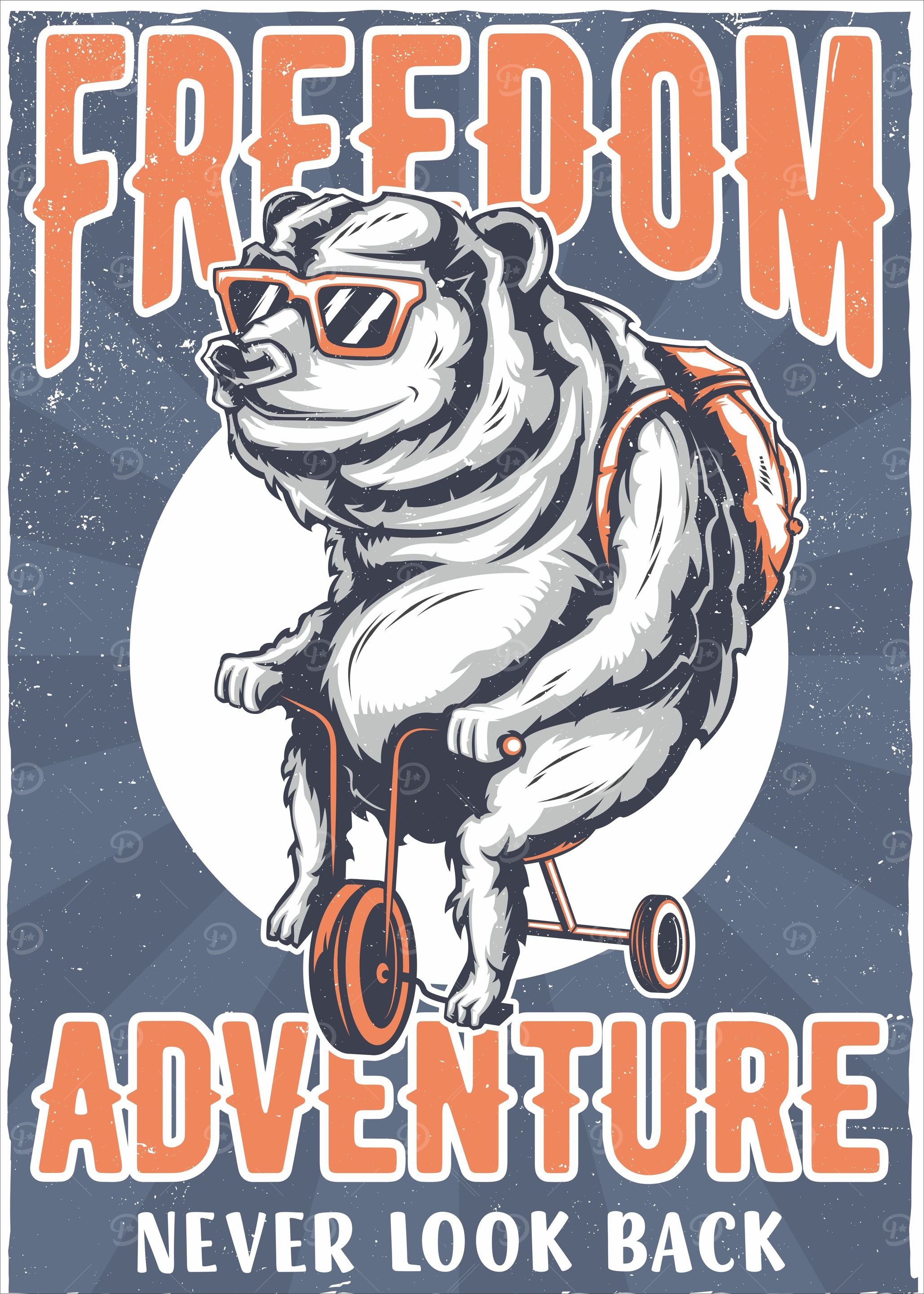 Freedom Adventure Setup