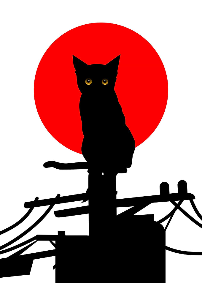 Black Cat