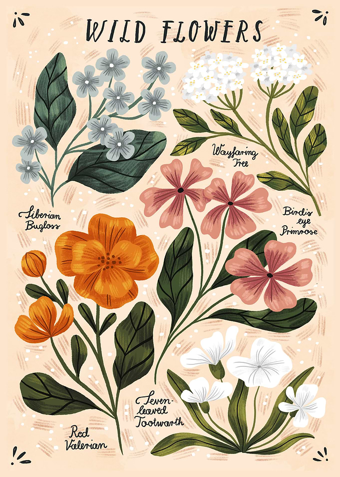 Wild Flowers vol 2