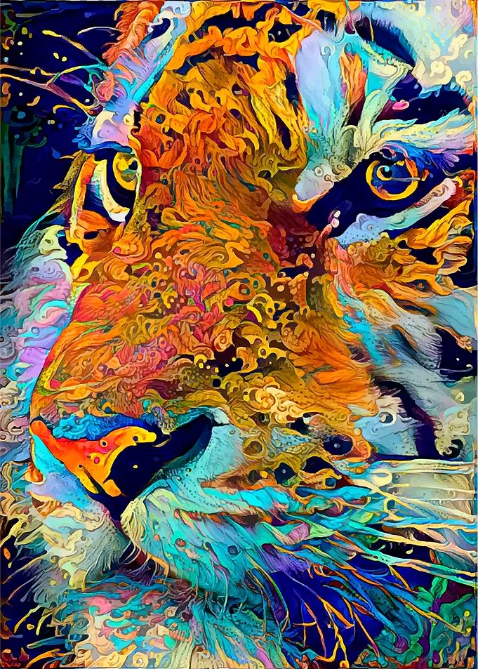 Focus