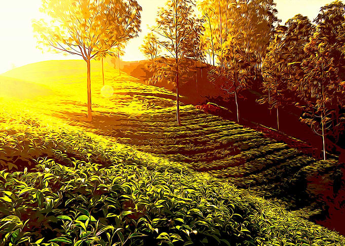 tea poster