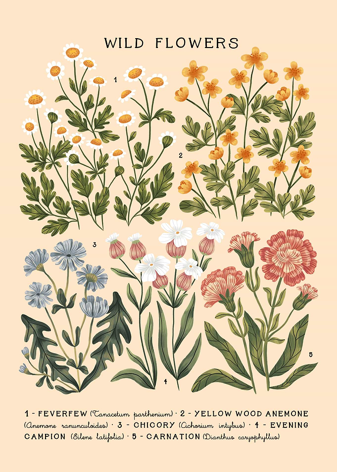 Wild Flowers vol 3 Bright