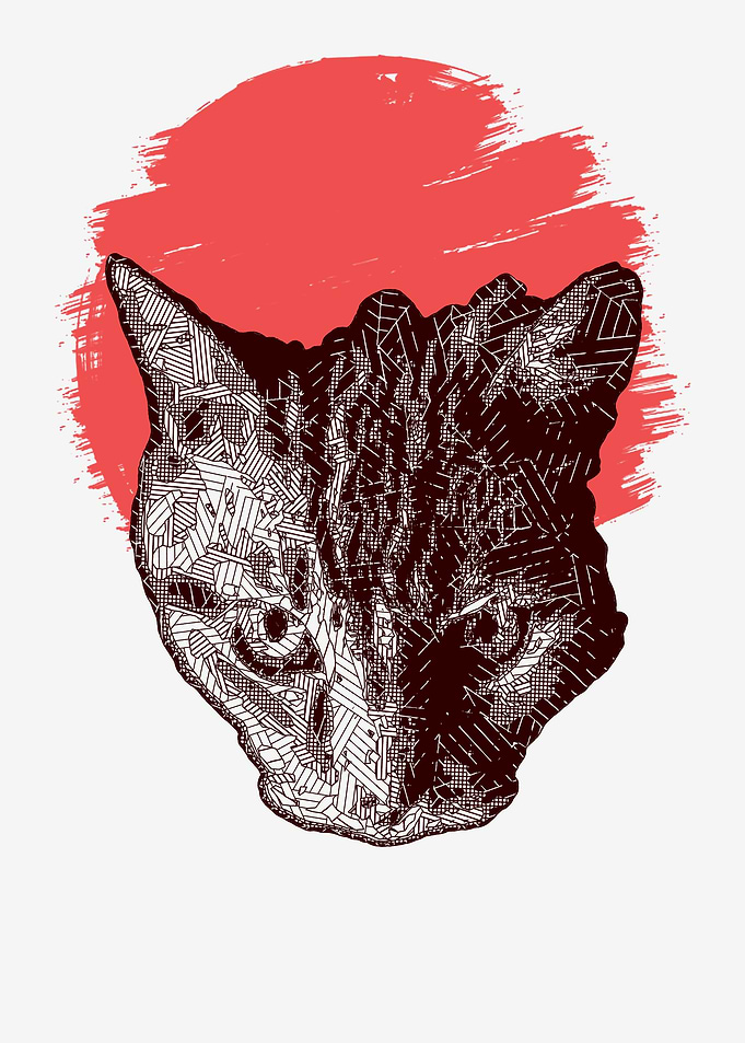 Kitty Cat Polygon II