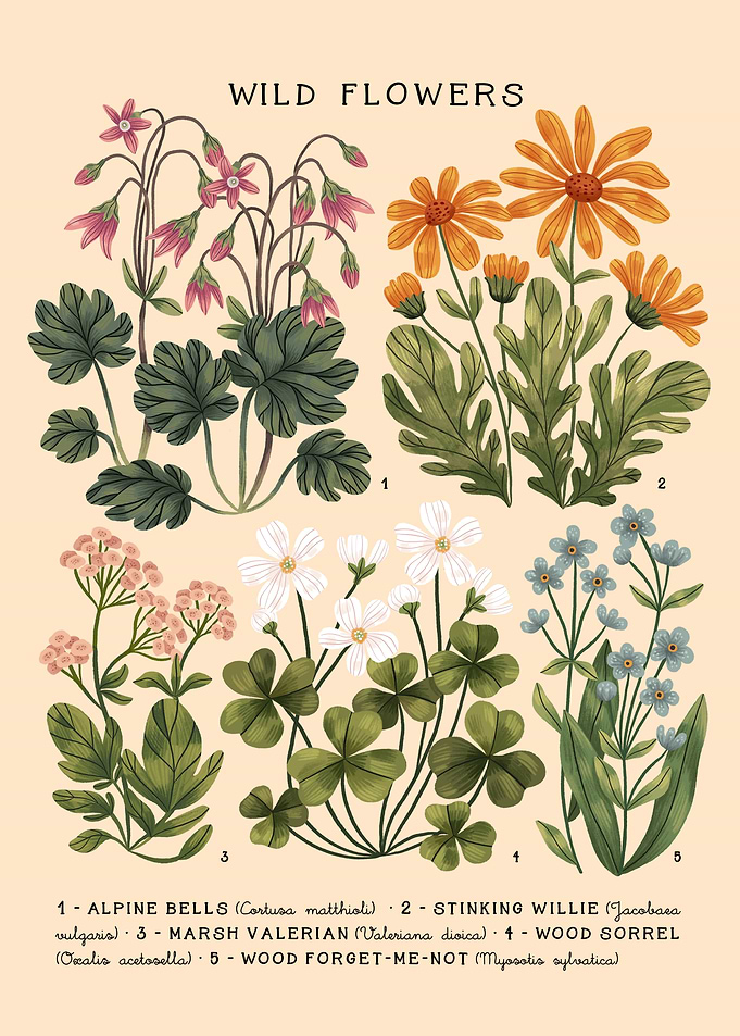 Wild Flowers vol 4 Bright