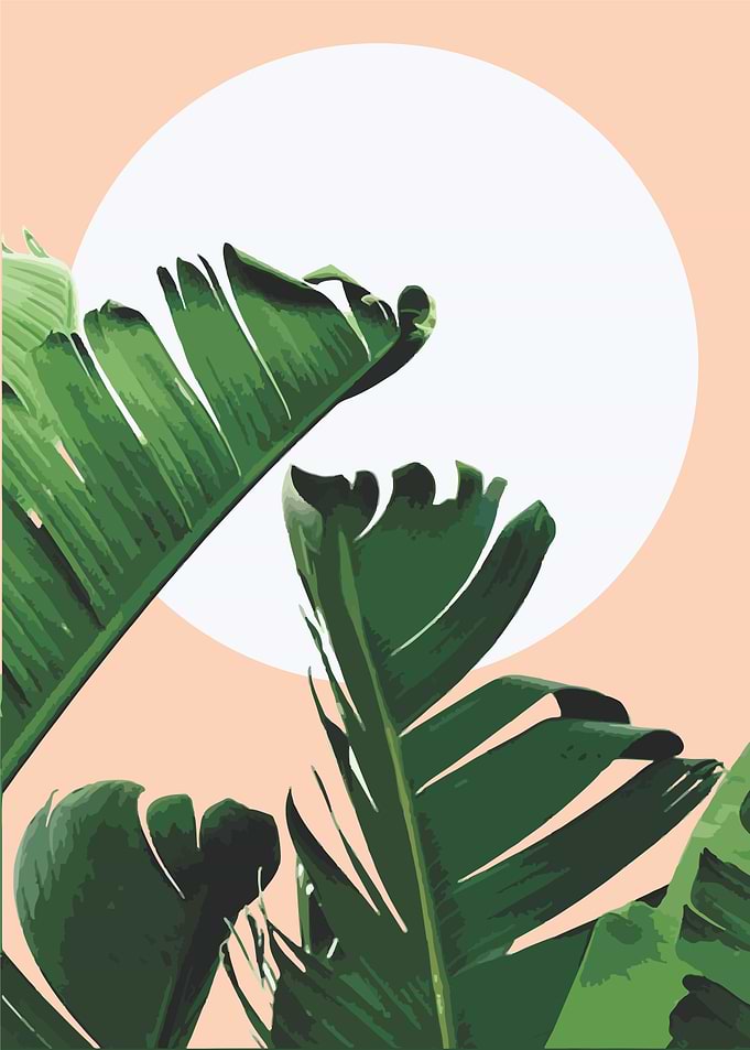 floral tropical