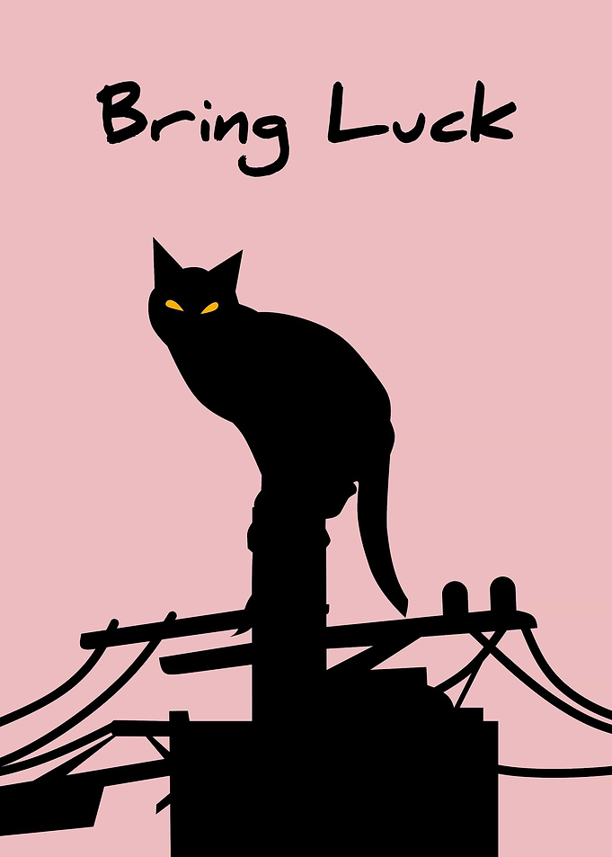 Bring Luck Black Cat