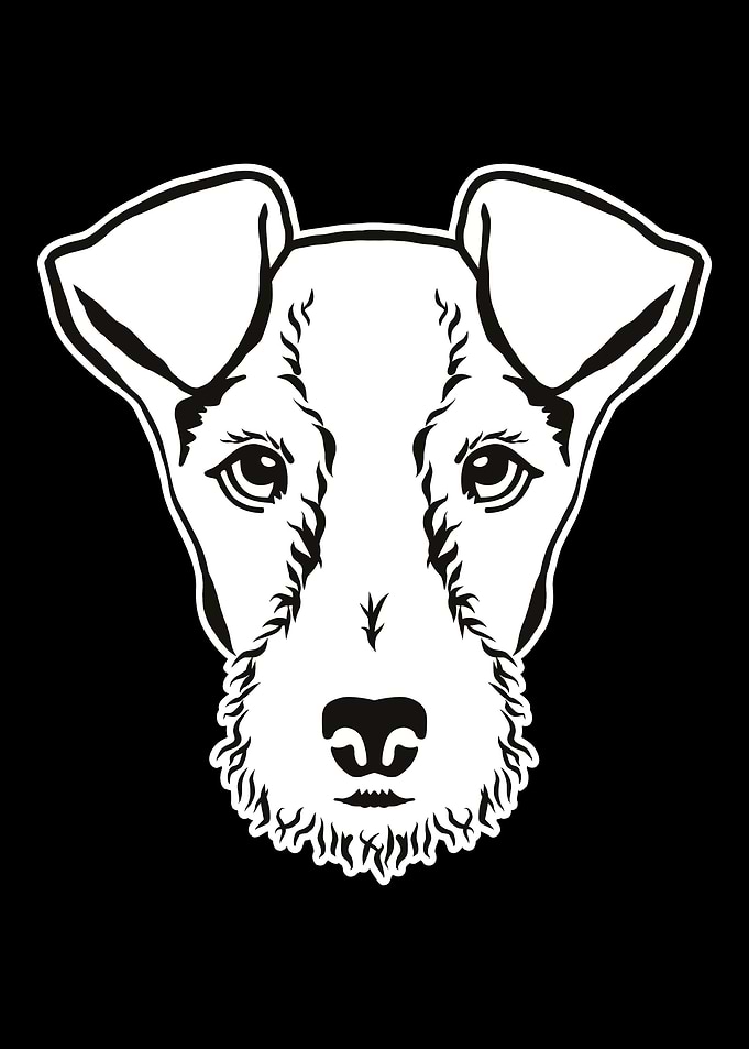 Fox Terrier