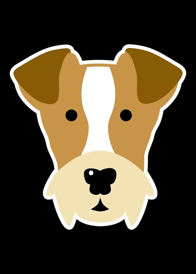 Fox Terrier