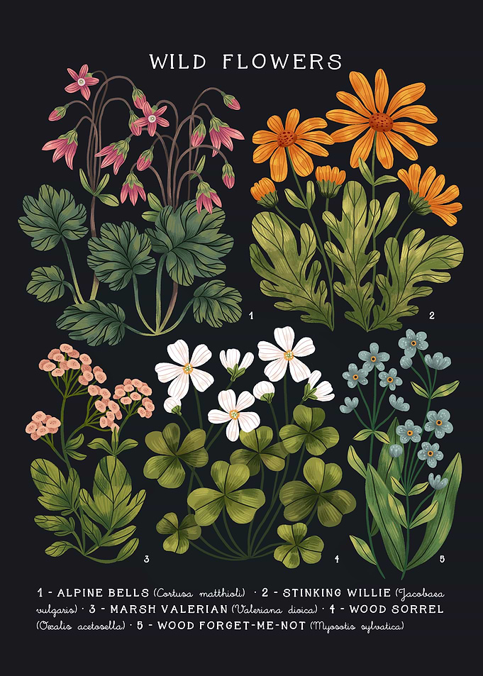 Wild Flowers vol 4 Dark
