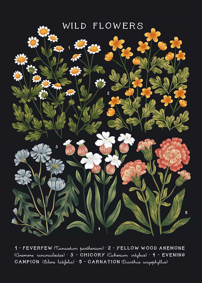 Wild Flowers vol 3 Dark