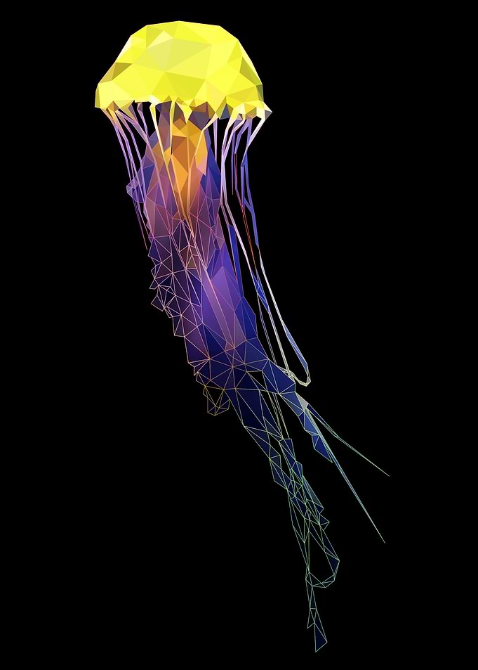Jellyfish on modern art