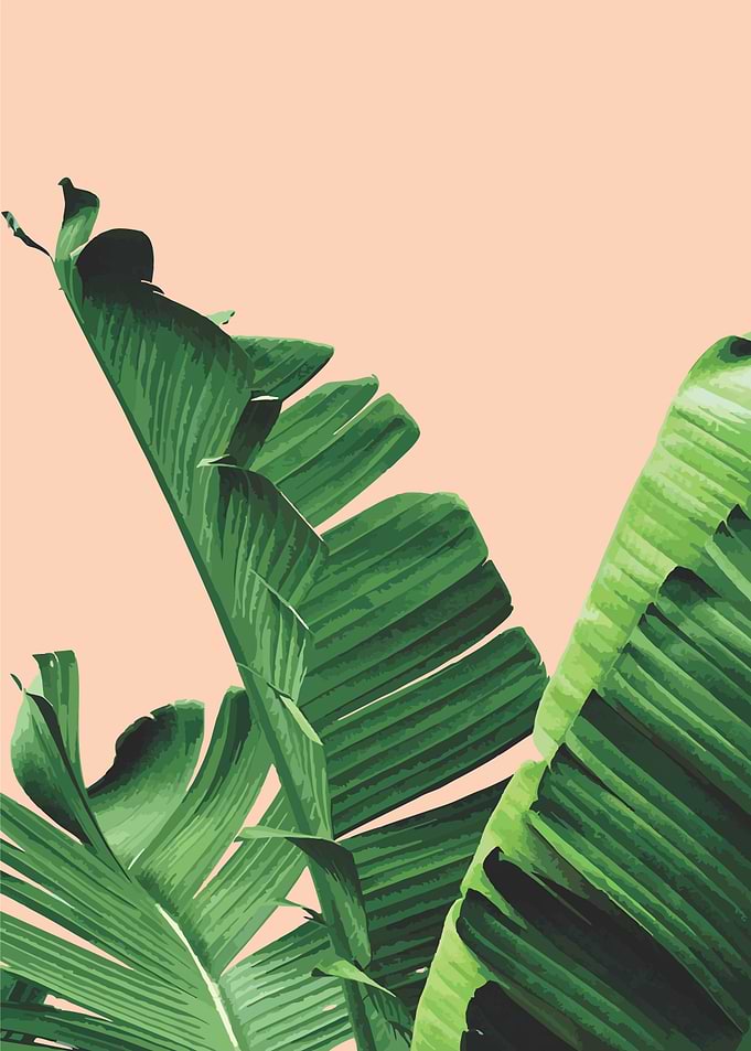 floral tropical