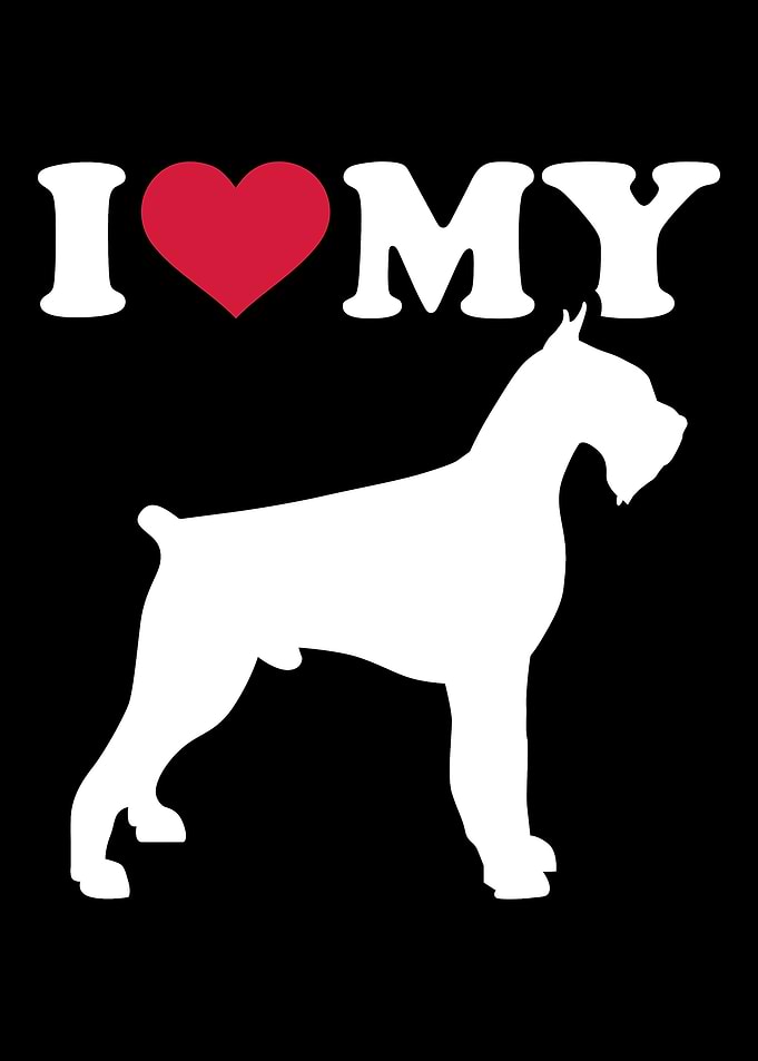 Giant Schnauzer