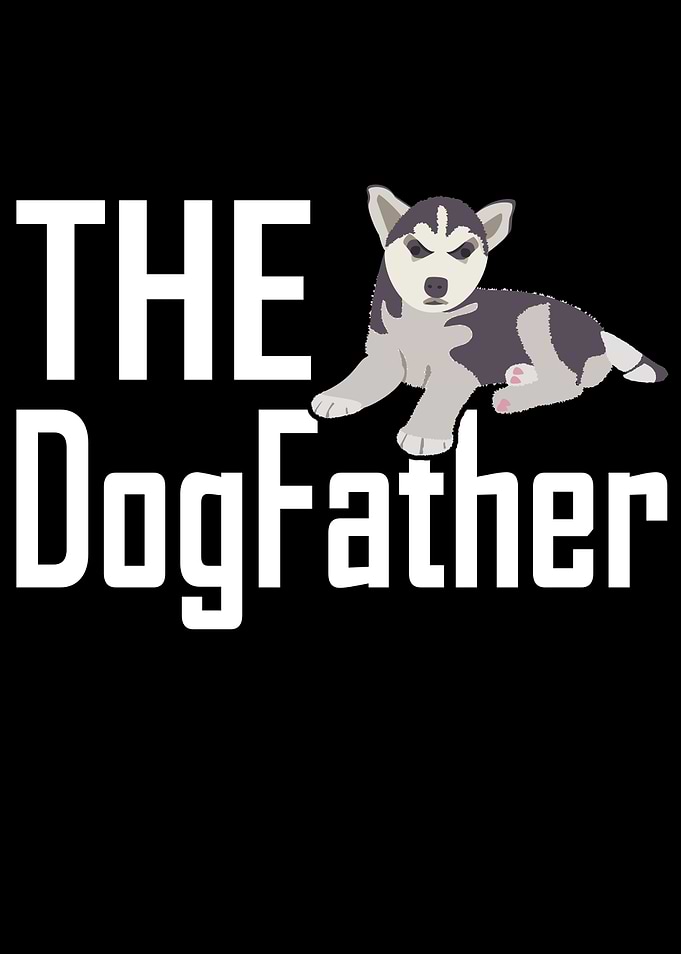Dog Husky
