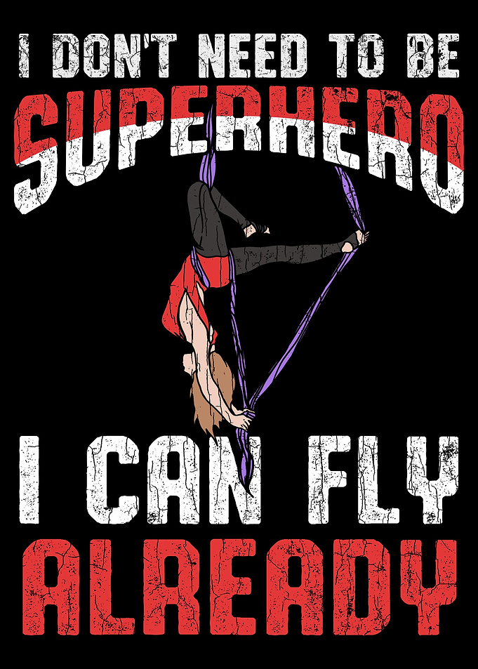 Aerialist Apparel I Can Fl