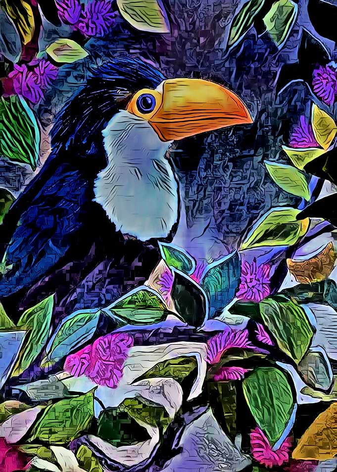 Toucan in a Tree