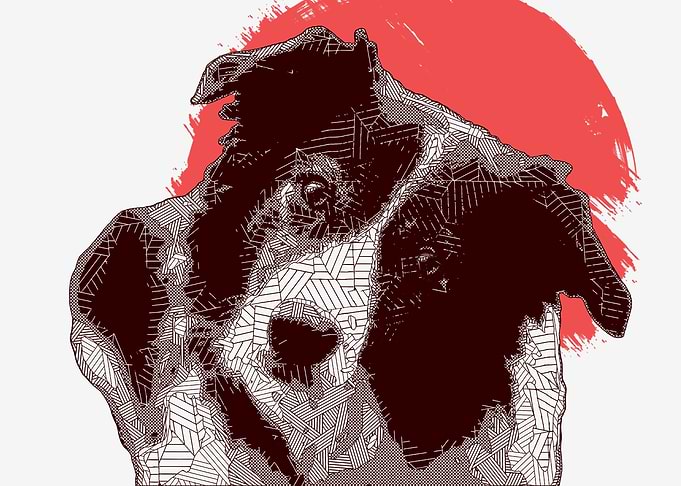 Doggy Dog Polygon