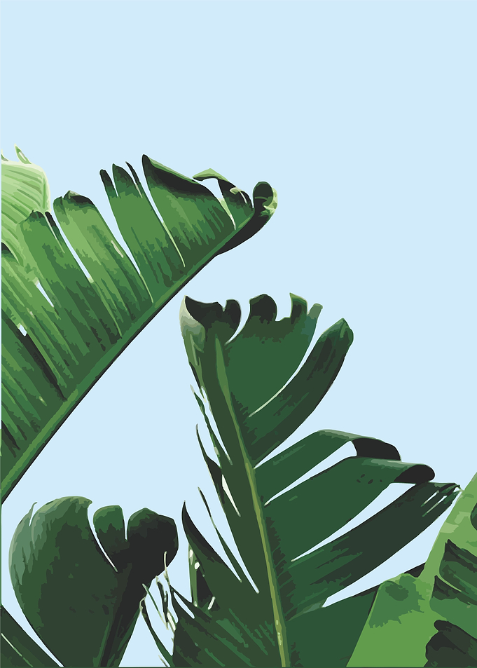 floral tropical