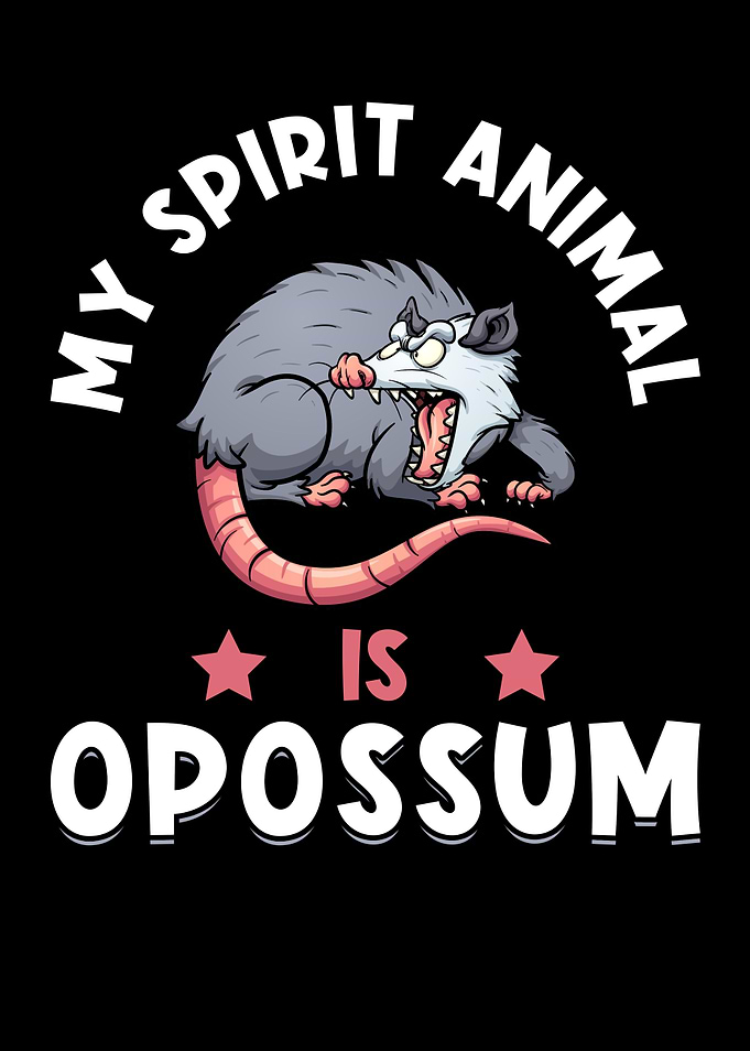 Opossum Funny Saying