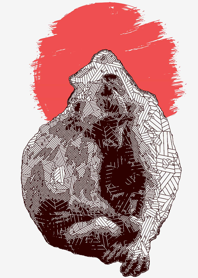 Monkey Couple Polygon
