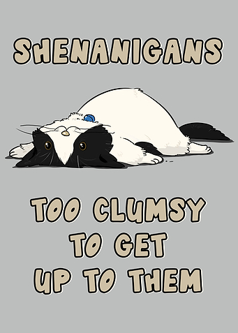 shenanigans cat