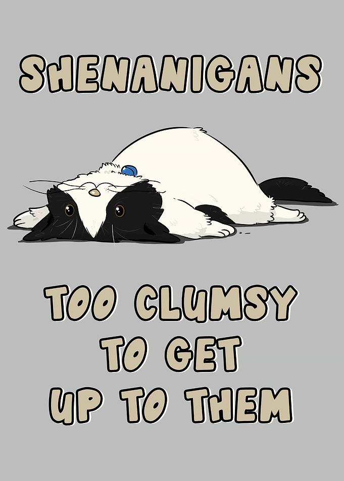 shenanigans cat
