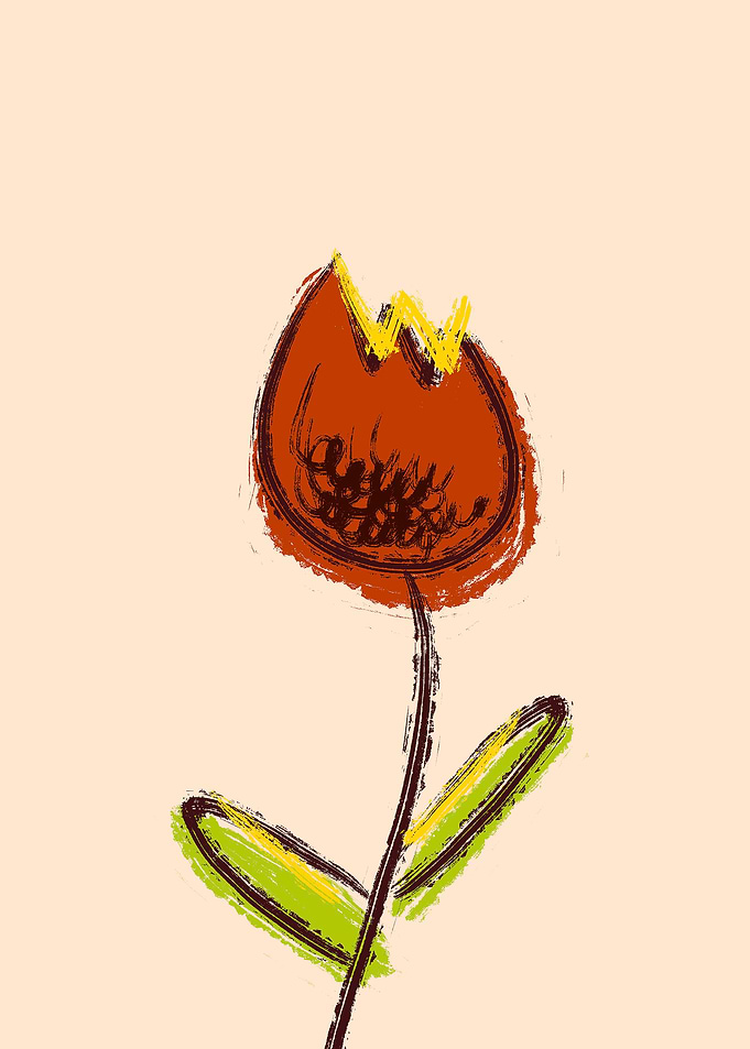 Lil Tulip