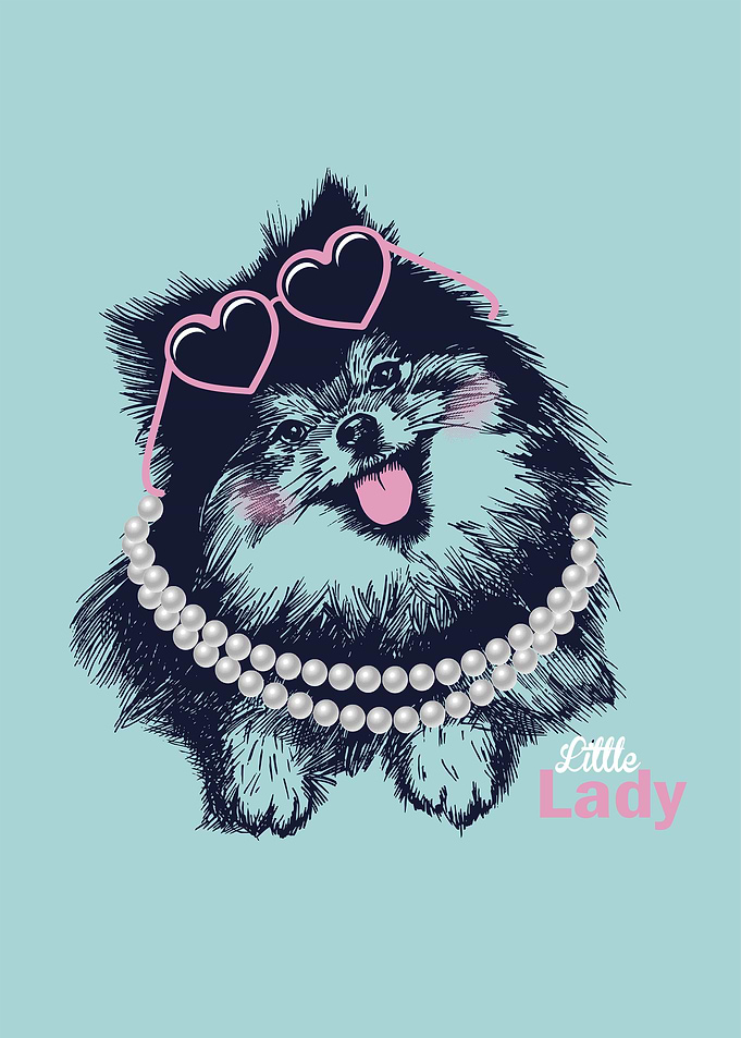 Fashion spitz