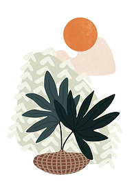 Tropical Villa 04