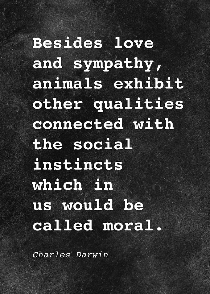 Charles Darwin Quote D015