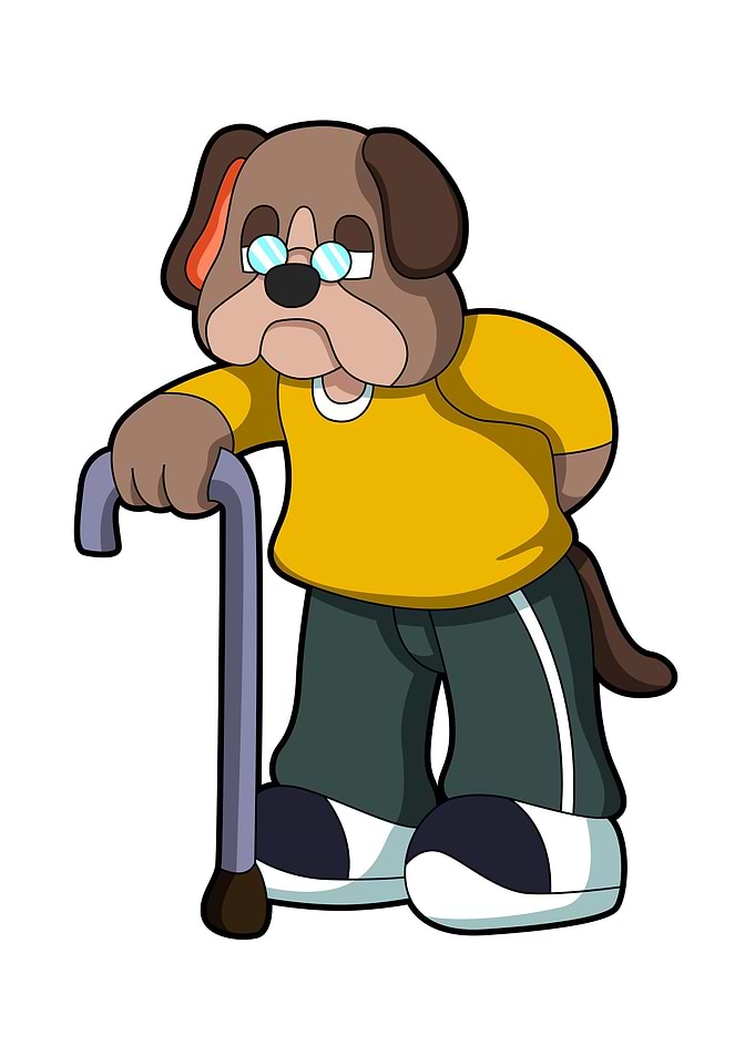 Dog Pensioner Walking aid