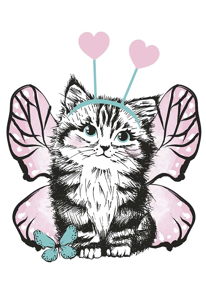 Kitten butterfly