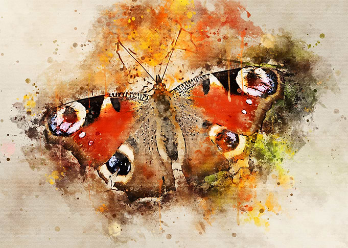 Gorgeous digital butterfly