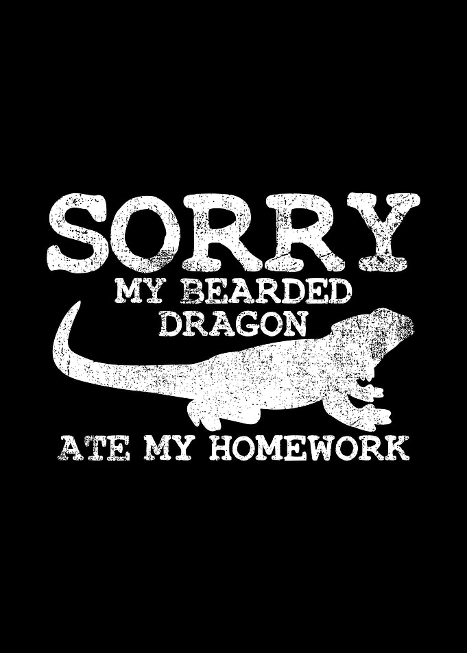 Bearded Dragon Teacher