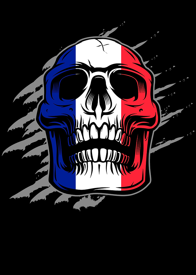 France Flag Skull