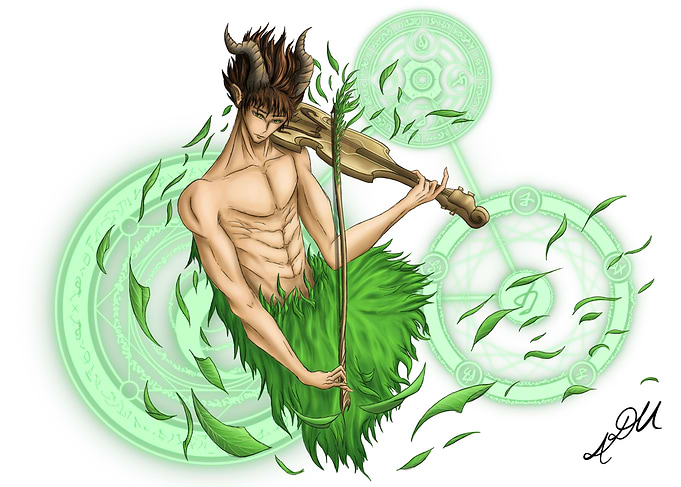 The musician of Tir na Nog