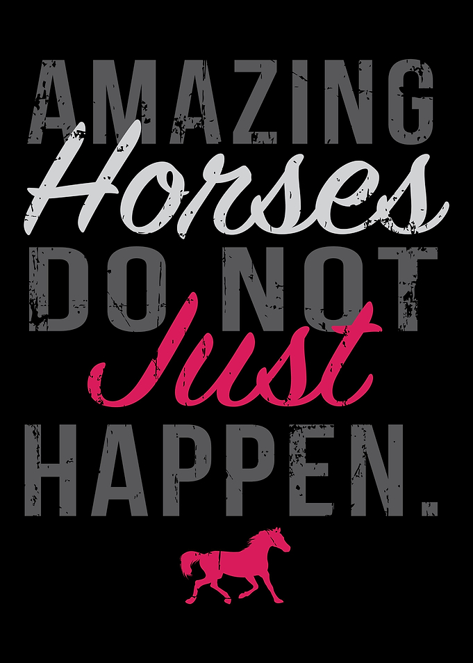 Horse riding gift