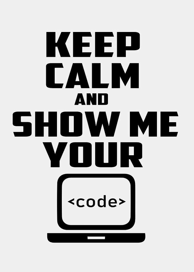 Programmer